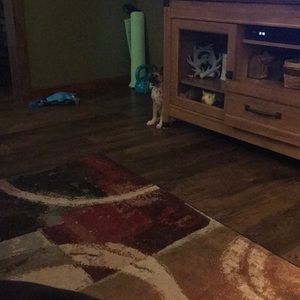 Meet your Posher, Crystal